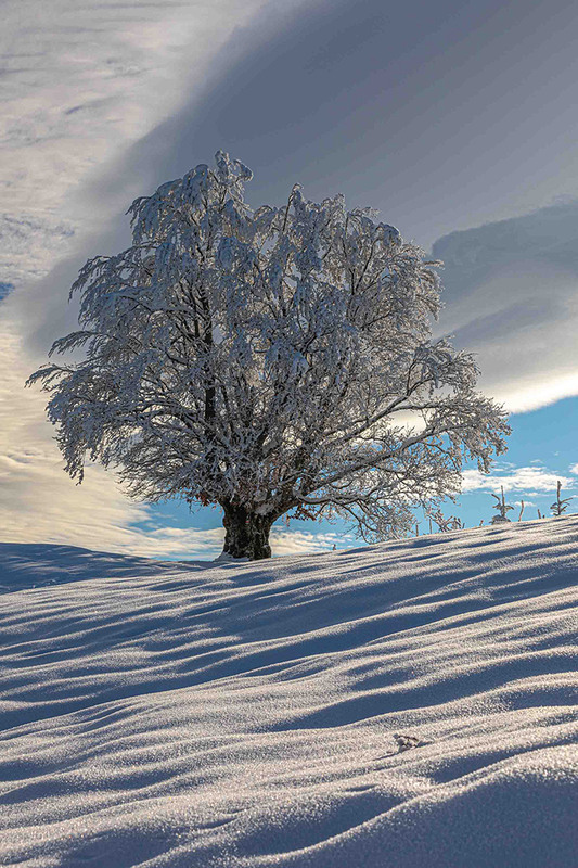 Фотографія Зима.... / Robert / photographers.ua
