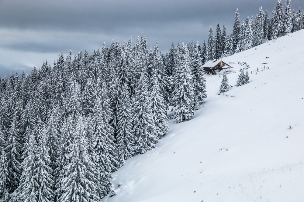 Фотографія Зима  в  горах. / Robert / photographers.ua