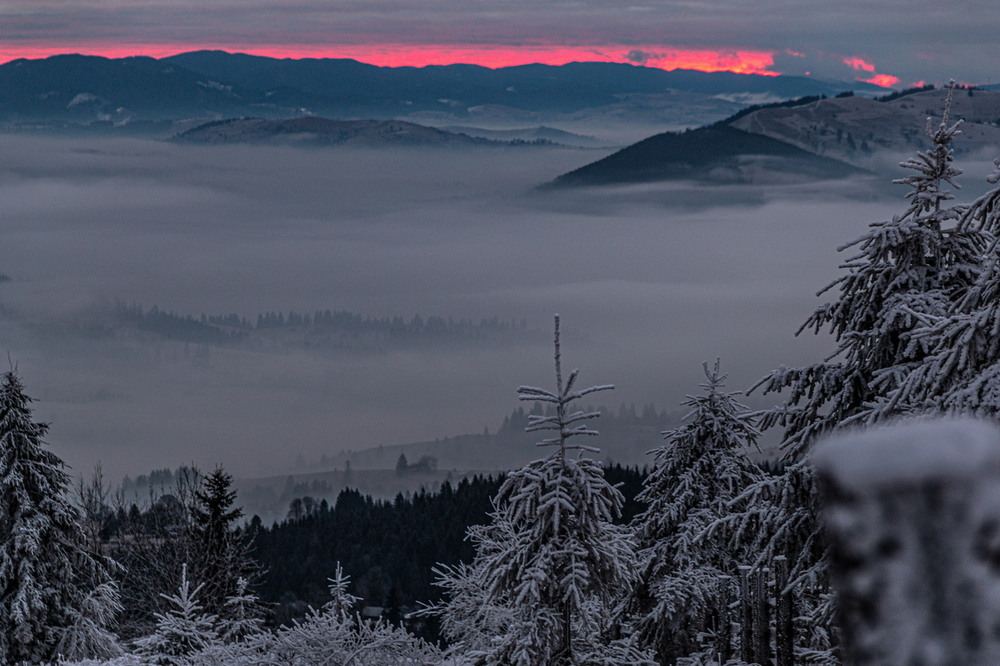 Фотографія Морозний  ранок. / Robert / photographers.ua