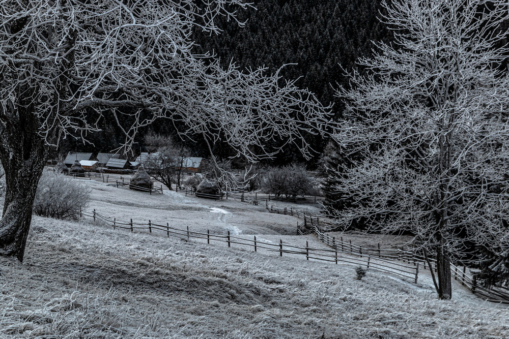 Фотографія Зимовий  ранок.... / Robert / photographers.ua