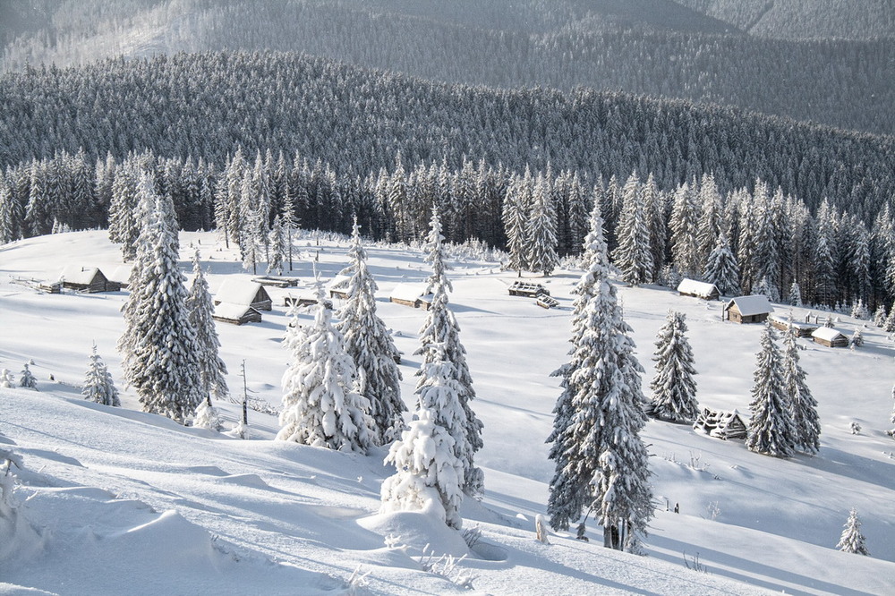 Фотографія Зима  в  Карпатах. / Robert / photographers.ua