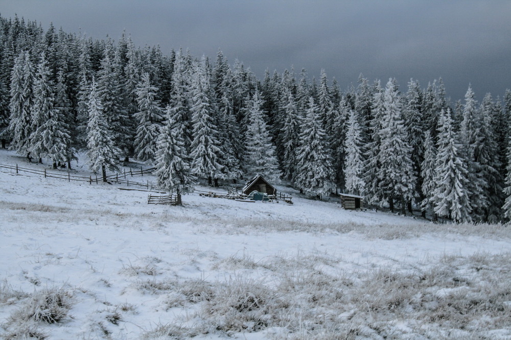 Фотографія Зима  на полонині. / Robert / photographers.ua