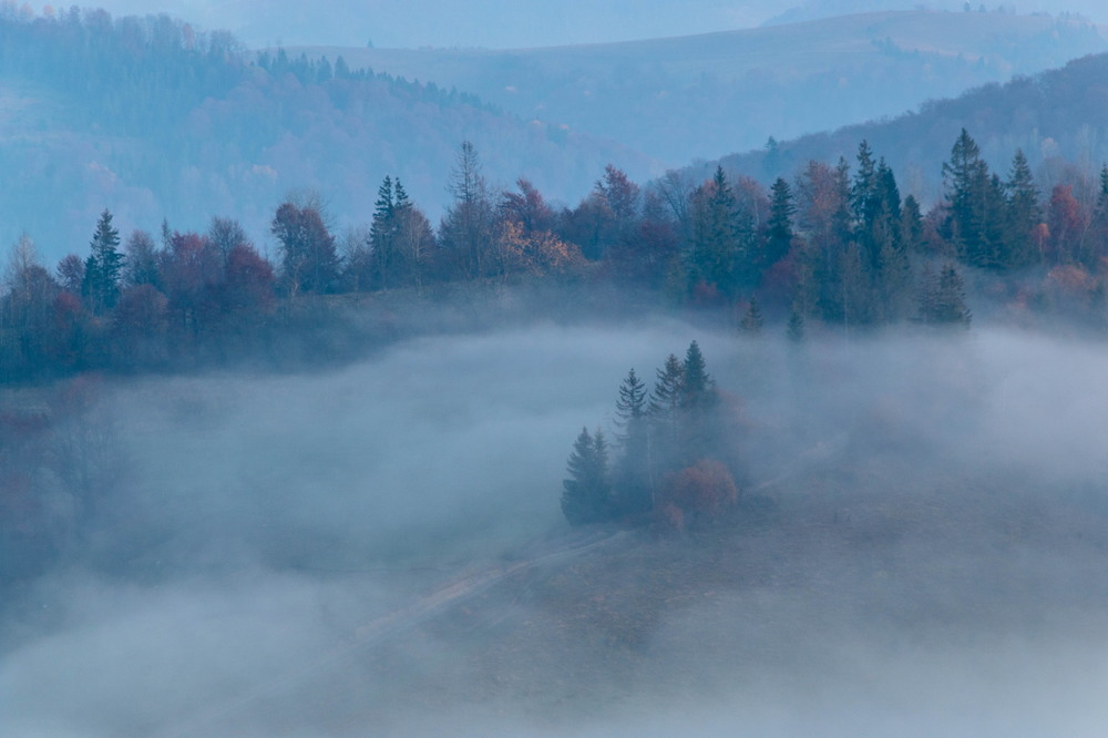 Фотографія Ранковий  туман.. / Robert / photographers.ua