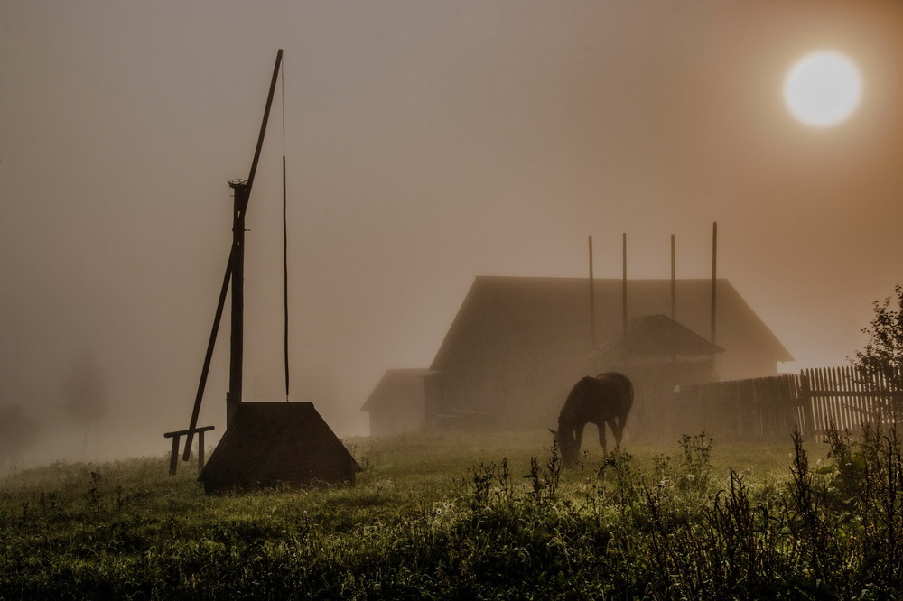 Фотографія Туман.. / Robert / photographers.ua
