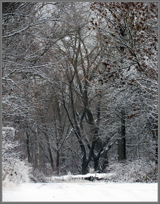 Фотографія Пейзаж / Ryuha / photographers.ua