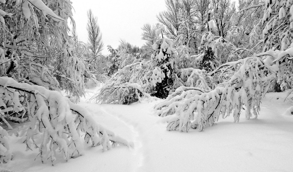 Фотографія Пейзаж / Ryuha / photographers.ua