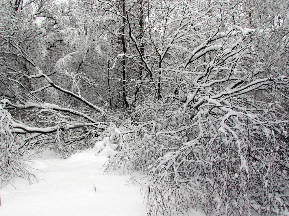 Фотографія Пейзаж / Ryuha / photographers.ua