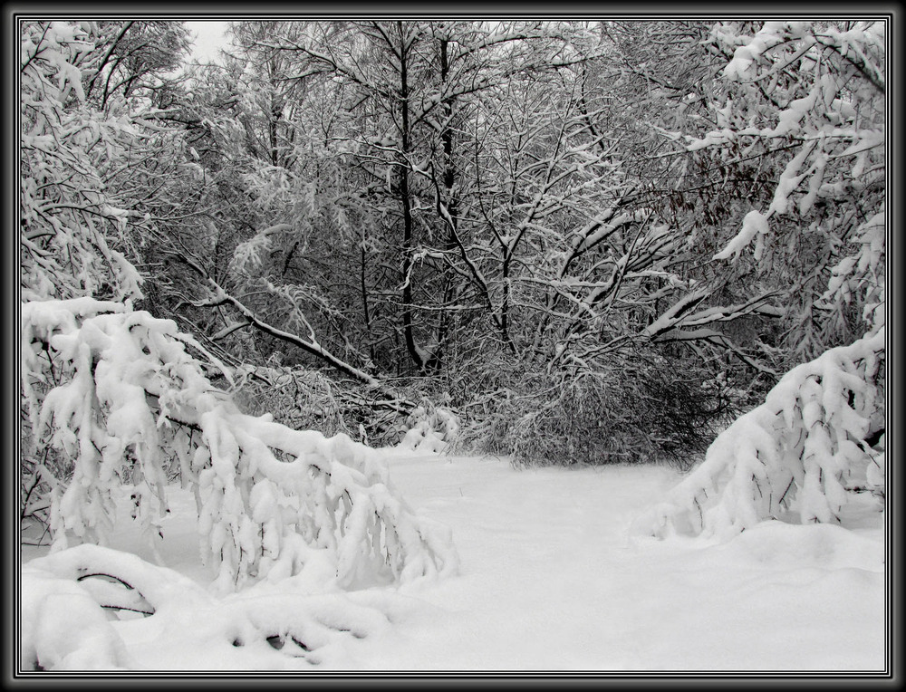 Фотографія Пейзаж / Ryuha / photographers.ua