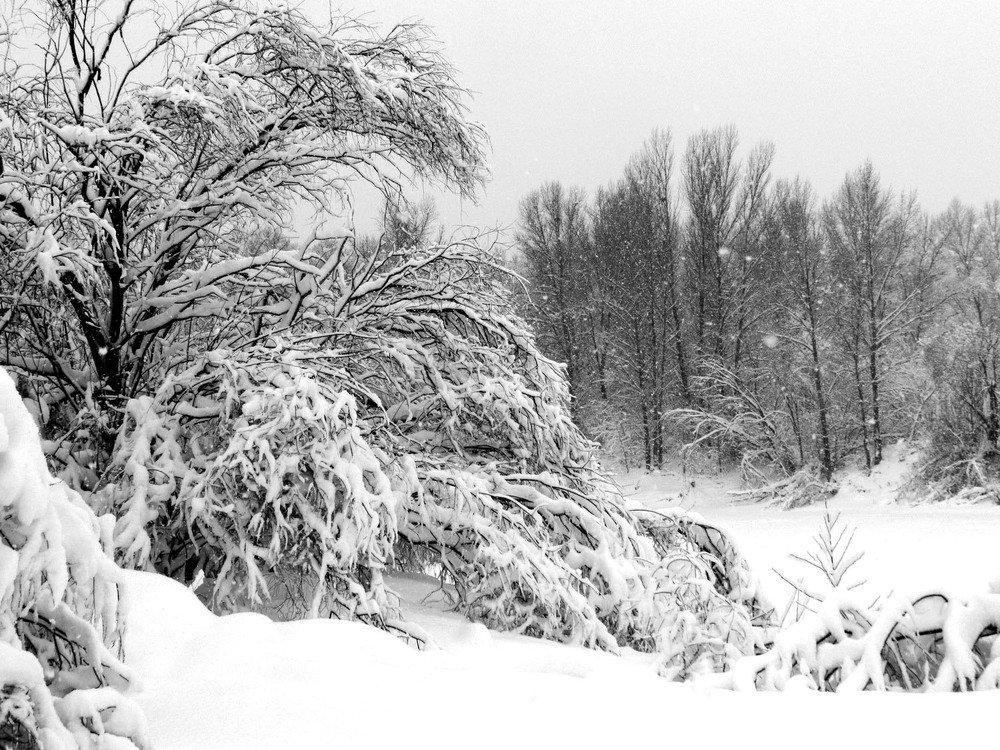 Фотографія Пейзаж / Ryuha / photographers.ua