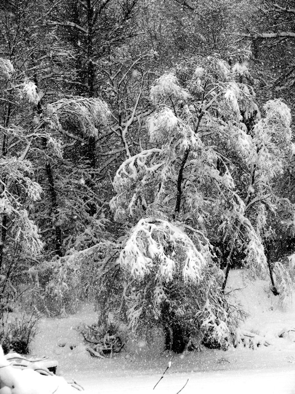 Фотографія Пейзаж / Ryuha / photographers.ua