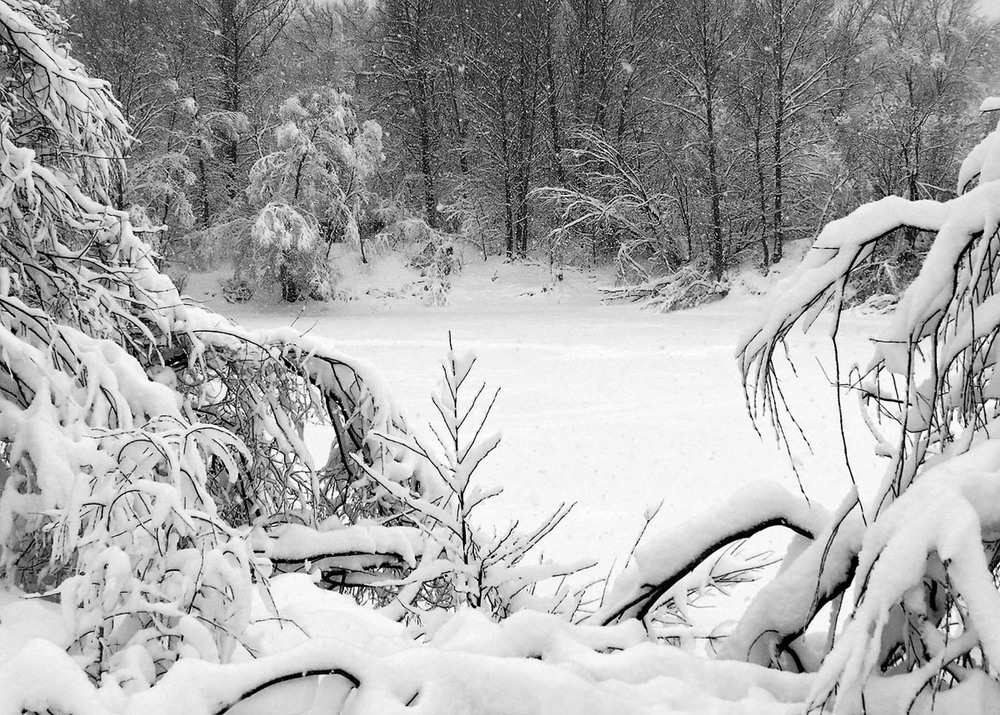 Фотографія Пейзаж / Ryuha / photographers.ua