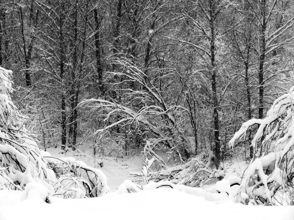 Фотографія Пейзаж / Ryuha / photographers.ua