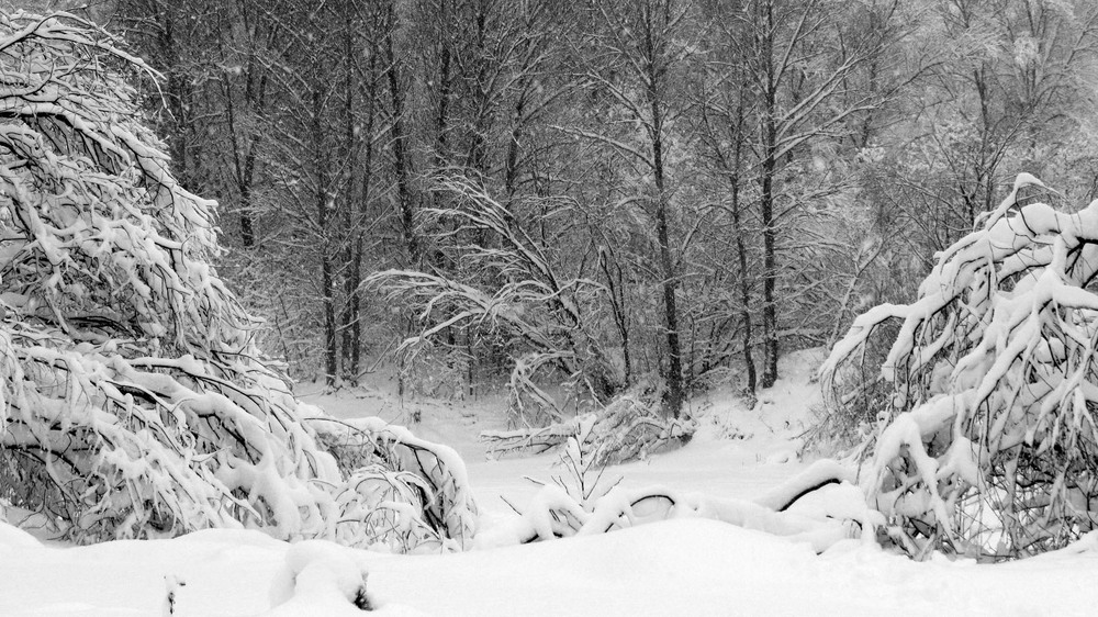 Фотографія Пейзаж / Ryuha / photographers.ua