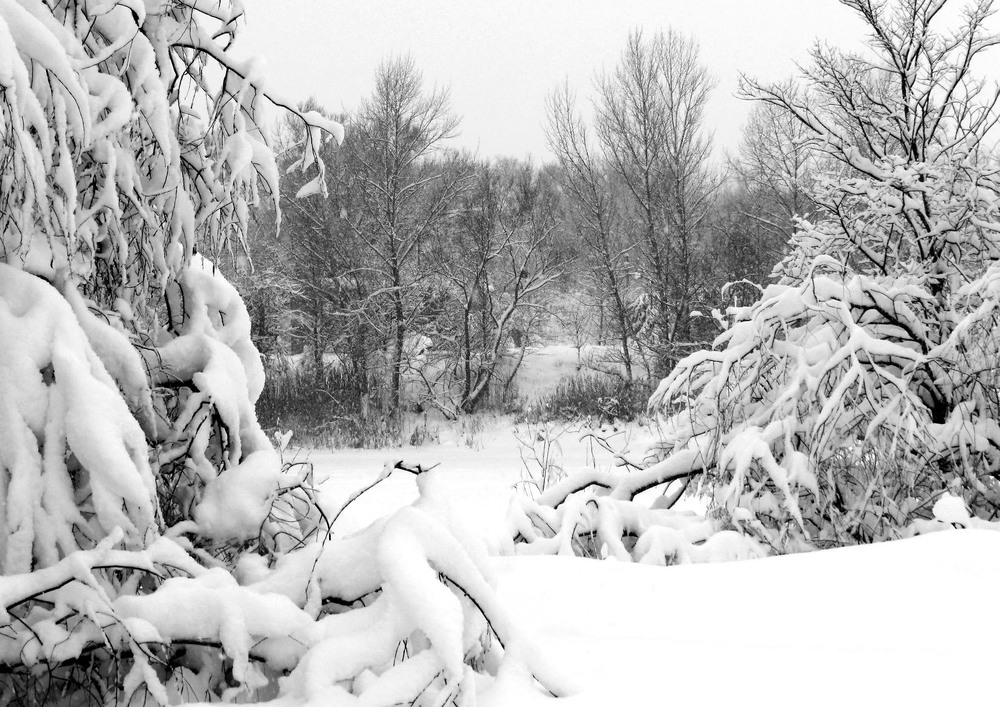 Фотографія Пейзаж / Ryuha / photographers.ua