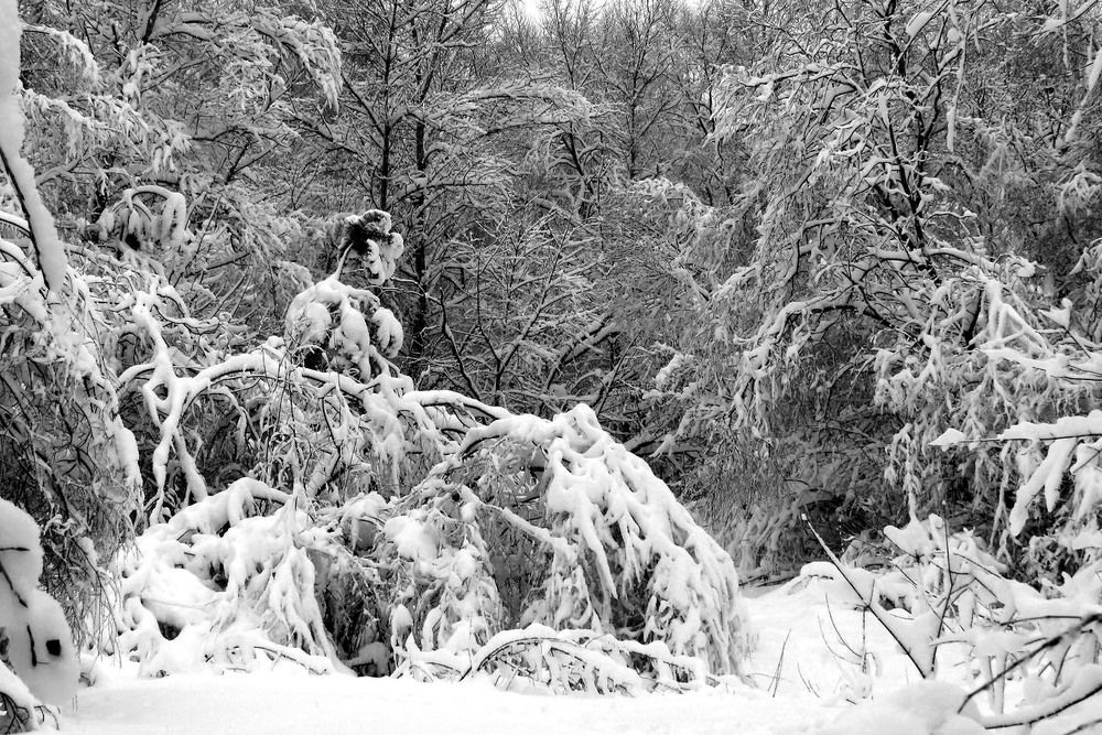 Фотографія Пейзаж / Ryuha / photographers.ua