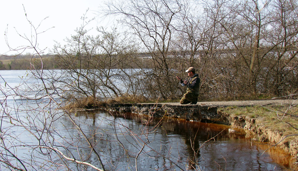 Фотографія Полювання на "білизну" / Ryuha / photographers.ua
