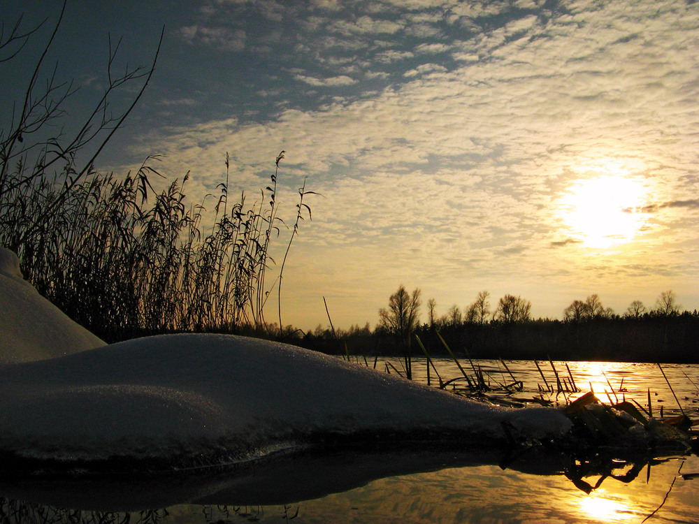 Фотографія О снежном лебеде... / Ryuha / photographers.ua