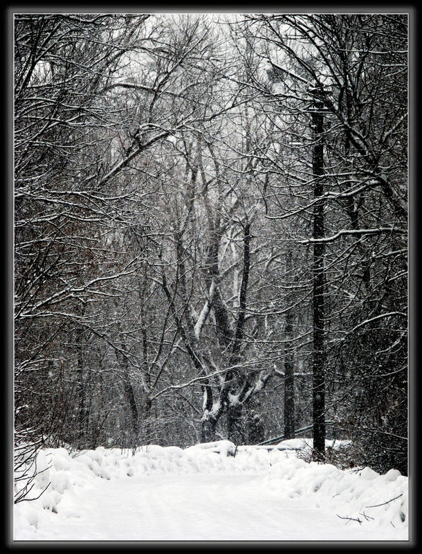 Фотографія Пейзаж / Ryuha / photographers.ua