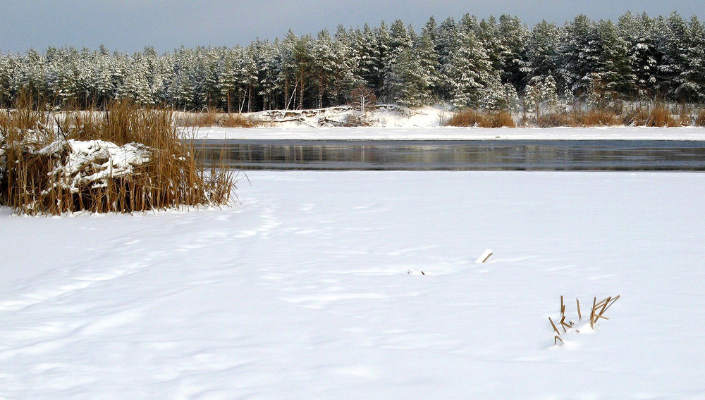 Фотографія Пейзаж / Ryuha / photographers.ua
