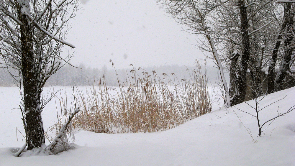 Фотографія Пейзаж / Ryuha / photographers.ua