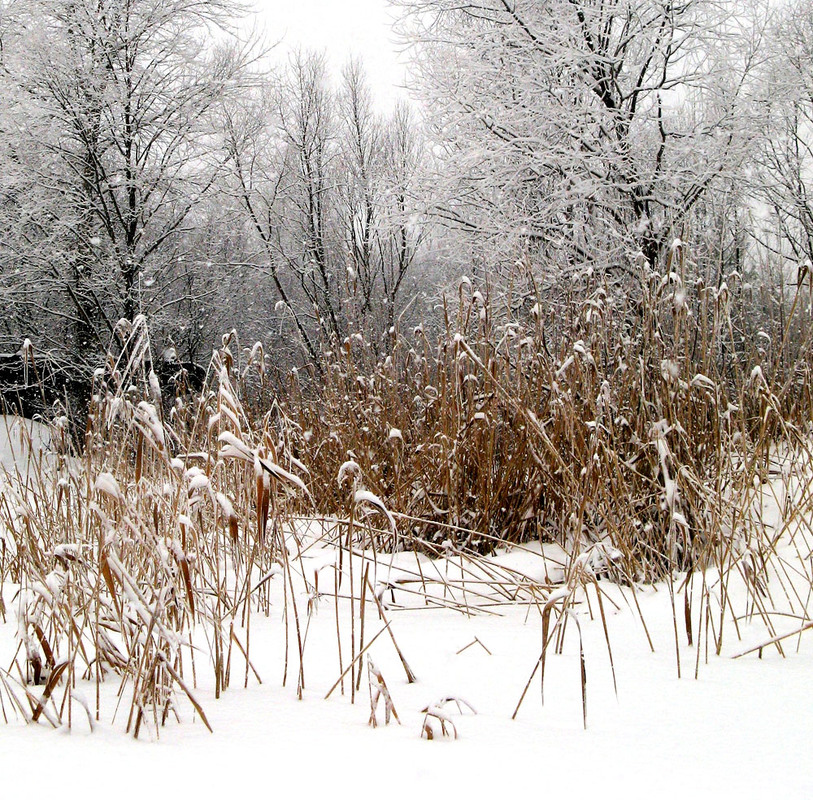 Фотографія Пейзаж / Ryuha / photographers.ua