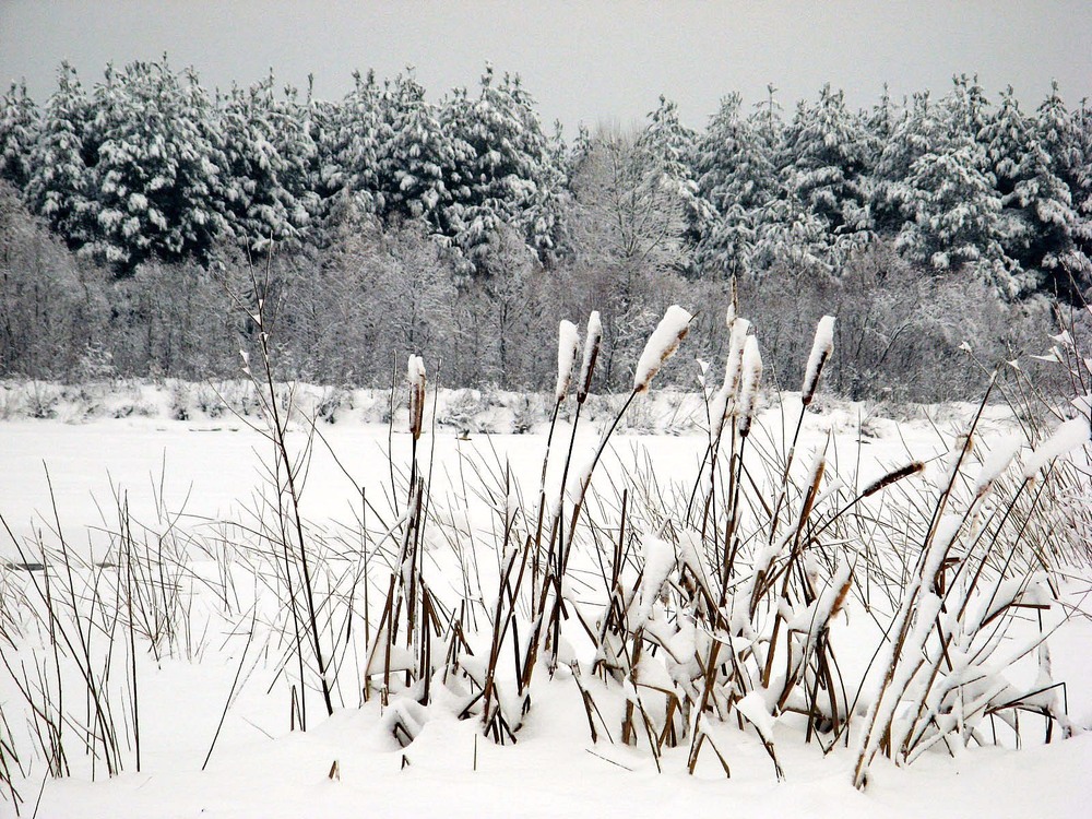 Фотографія Пейзаж / Ryuha / photographers.ua