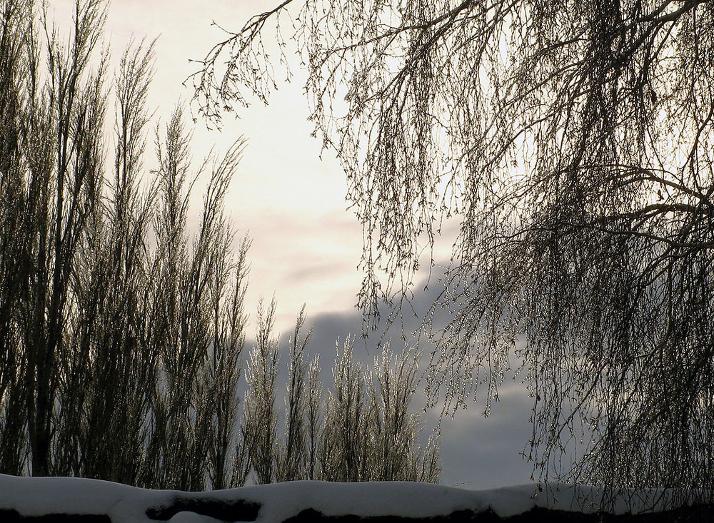 Фотографія Пейзаж / Ryuha / photographers.ua