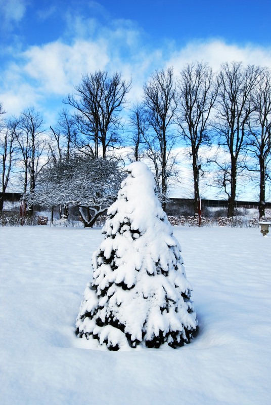 Фотографія Хмари білі як сніг / Хелена Томассон / photographers.ua