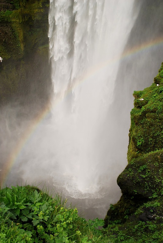 Фотографія Iceland / Хелена Томассон / photographers.ua