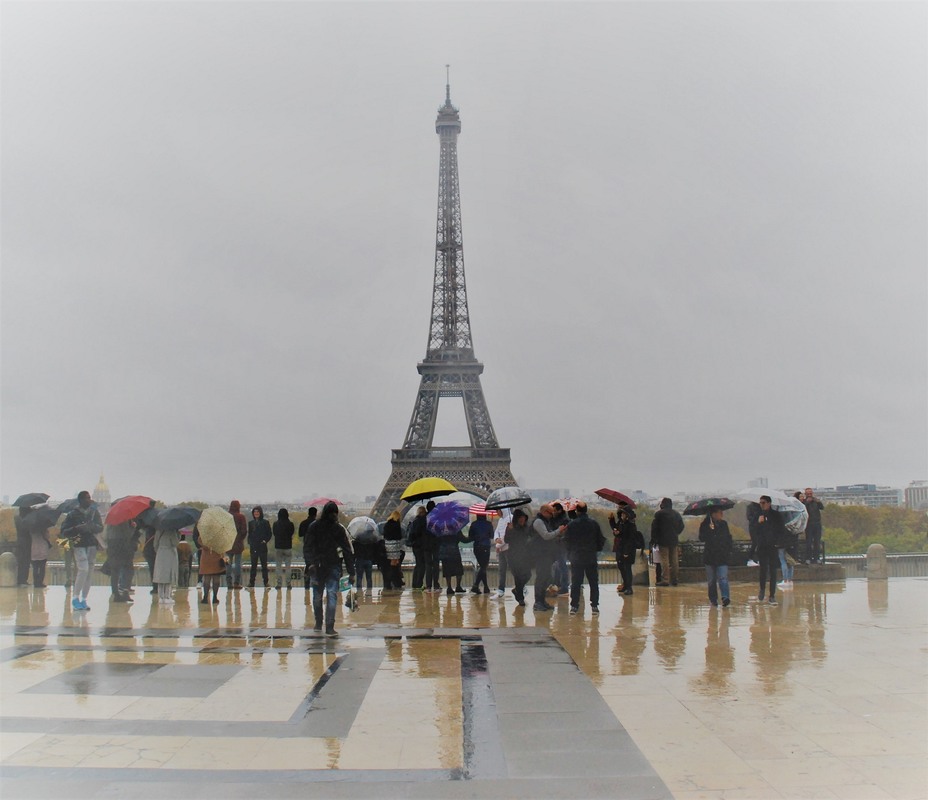 Фотографія Paris in the Rain / Хелена Томассон / photographers.ua