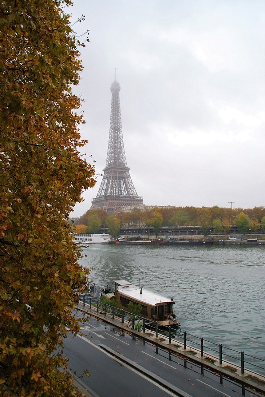 Фотографія Paris in the Rain / Хелена Томассон / photographers.ua