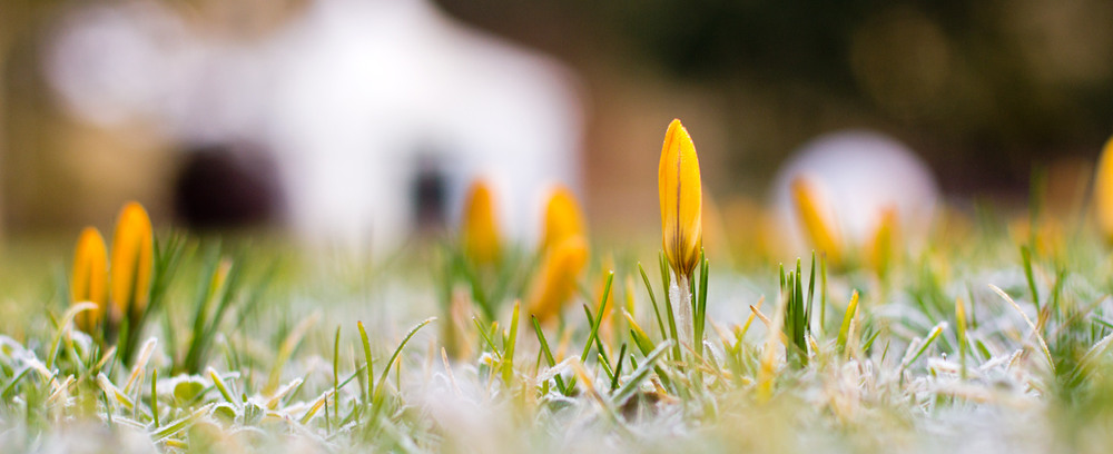 Фотографія весна... / Jurijs Suhodolskis / photographers.ua
