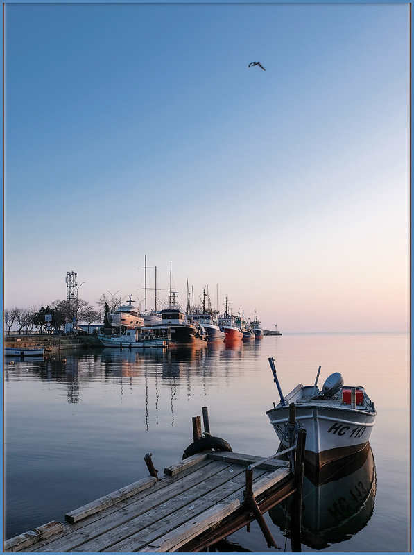 Фотографія про чайку / Oleg P / photographers.ua