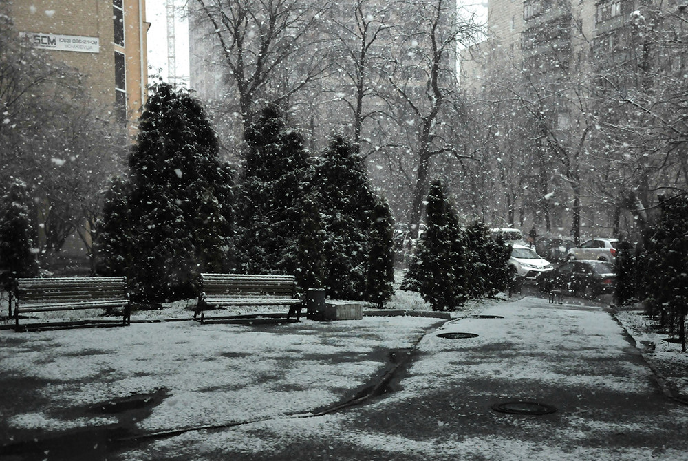 Фотографія Снег, который умеет висеть в воздухе... / Задорожный Александр / photographers.ua