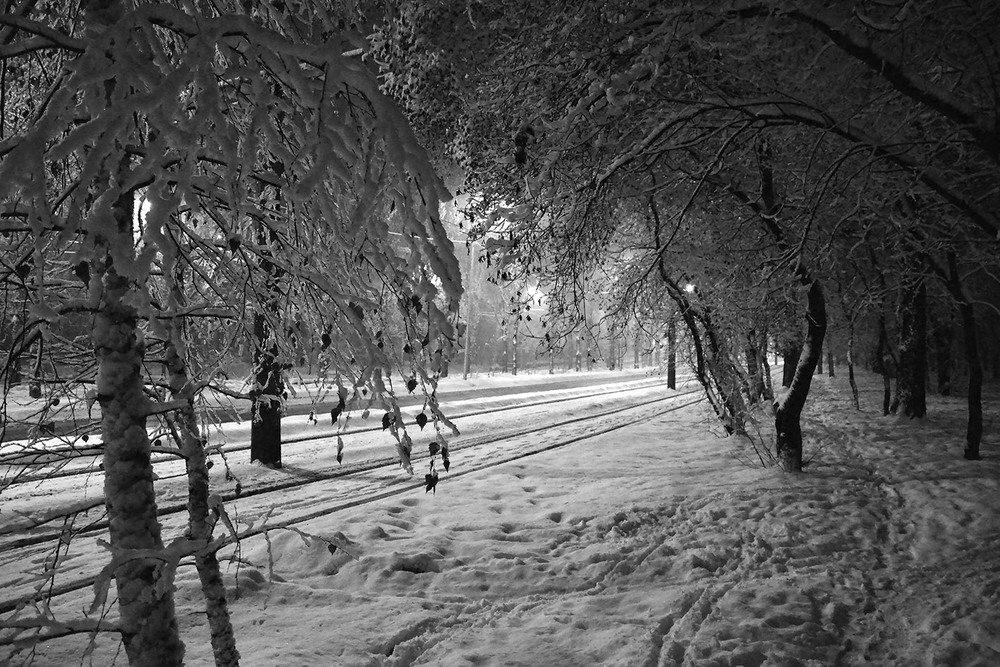 Фотографія Эта белая-белая ночь... / Задорожный Александр / photographers.ua