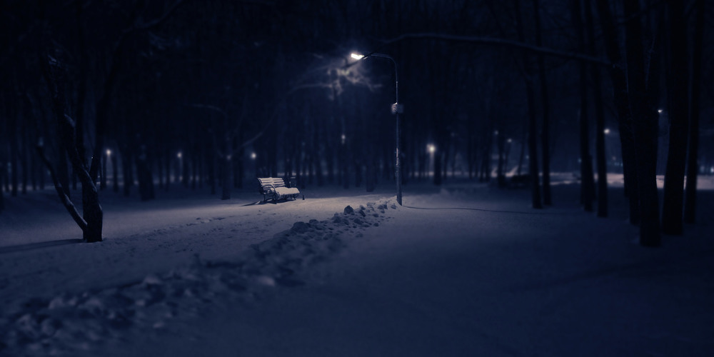 Фотографія Вечер снежного дня... / Задорожный Александр / photographers.ua