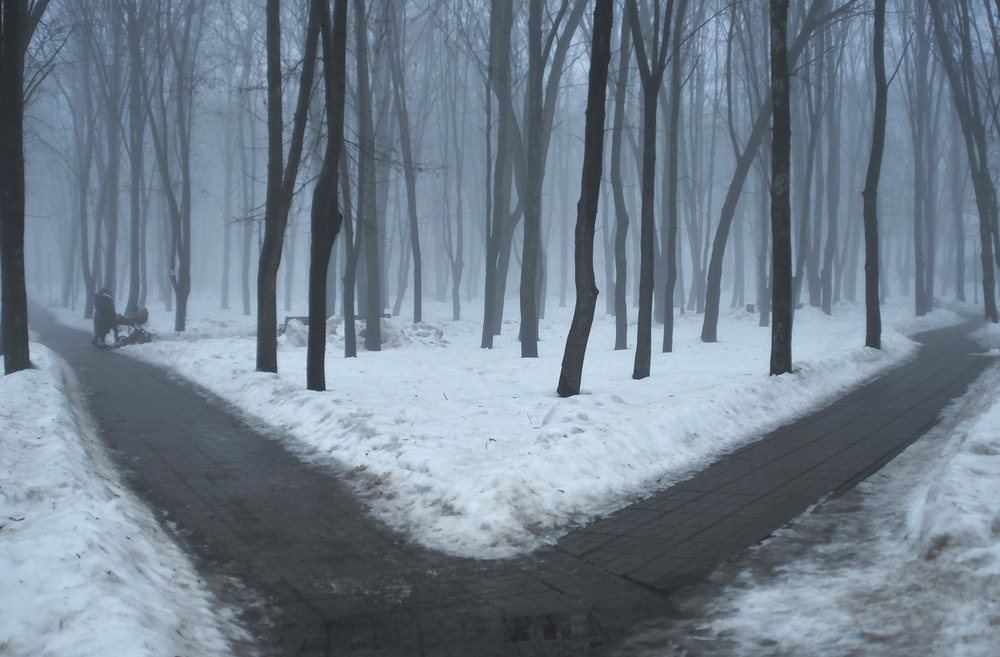 Фотографія За туманом нічого не видно... / Задорожный Александр / photographers.ua