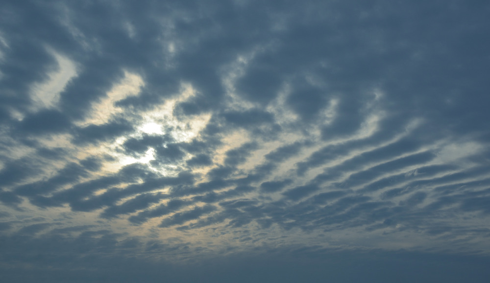 Фотографія Небо на ребрышках в закатном соусе. / Задорожный Александр / photographers.ua