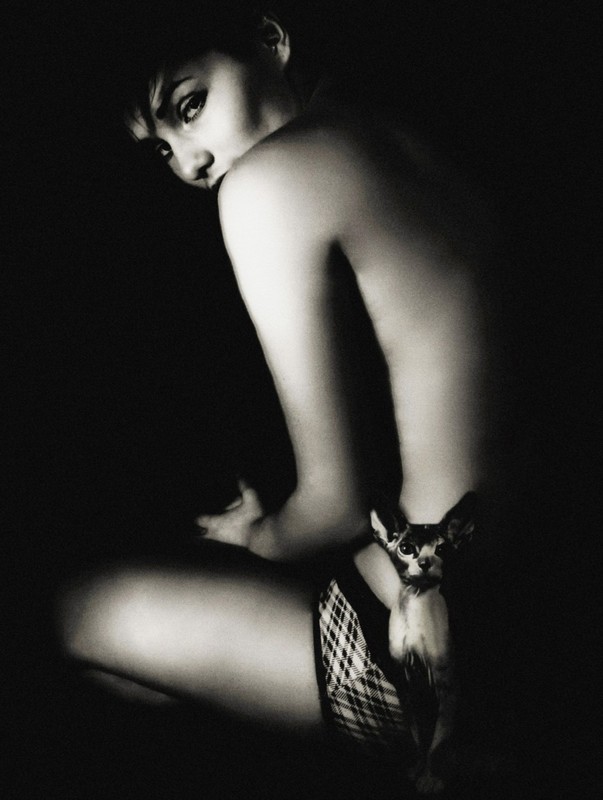 Фотографія погані кицьки / Анна Некрасова / photographers.ua