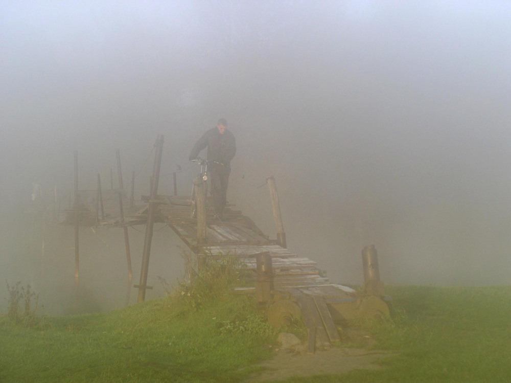 Фотографія Вышел ёжик из тумана... / Владимир Козюк / photographers.ua