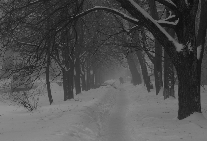 Фотографія Winter on my street, winter in my soul / The Rjuh / photographers.ua