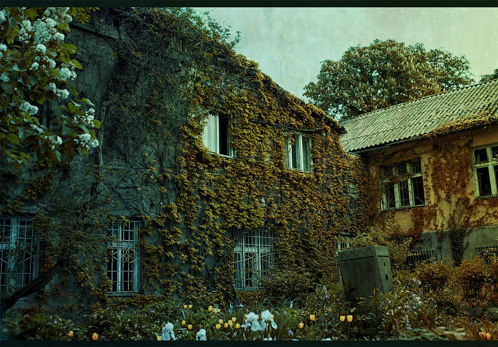 Фотографія ... / снорри / photographers.ua