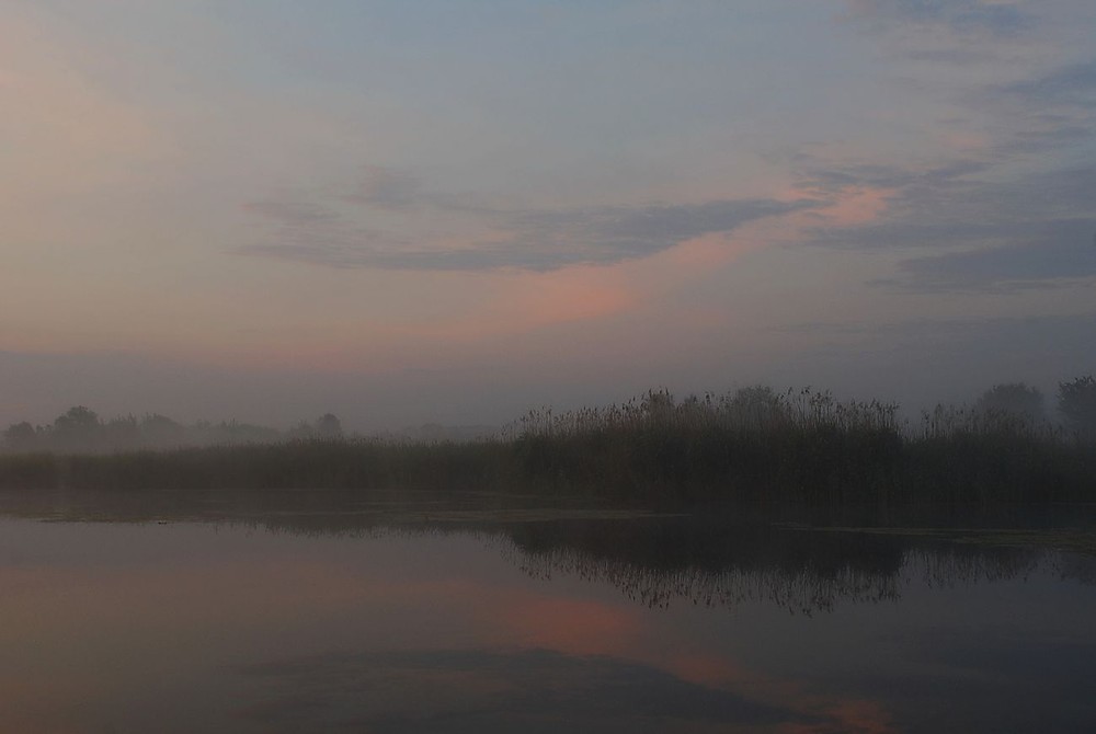 Фотографія туман / Олександр Федоренко / photographers.ua