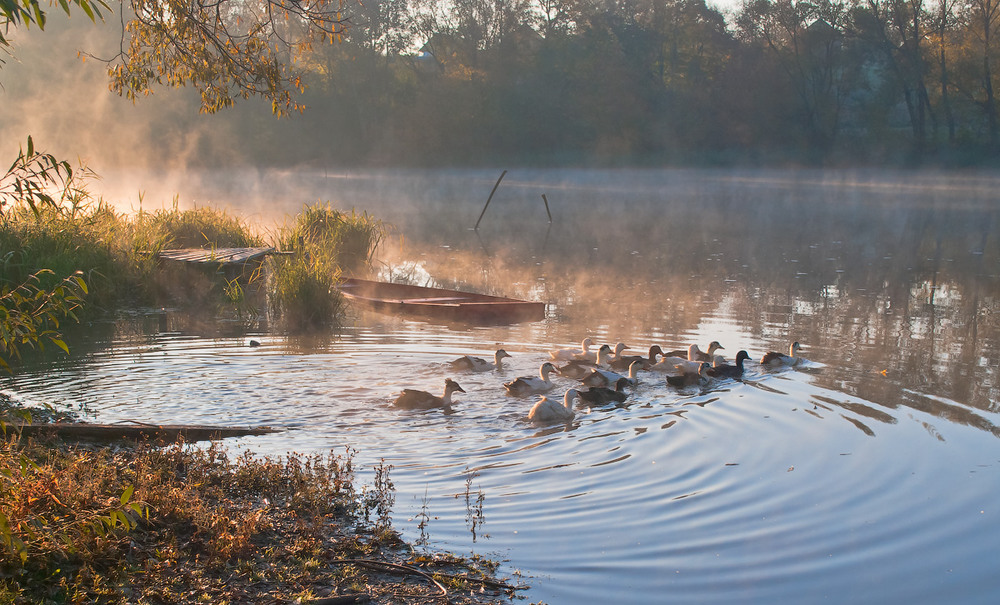 Фотографія Пейзаж / Олександр Федоренко / photographers.ua