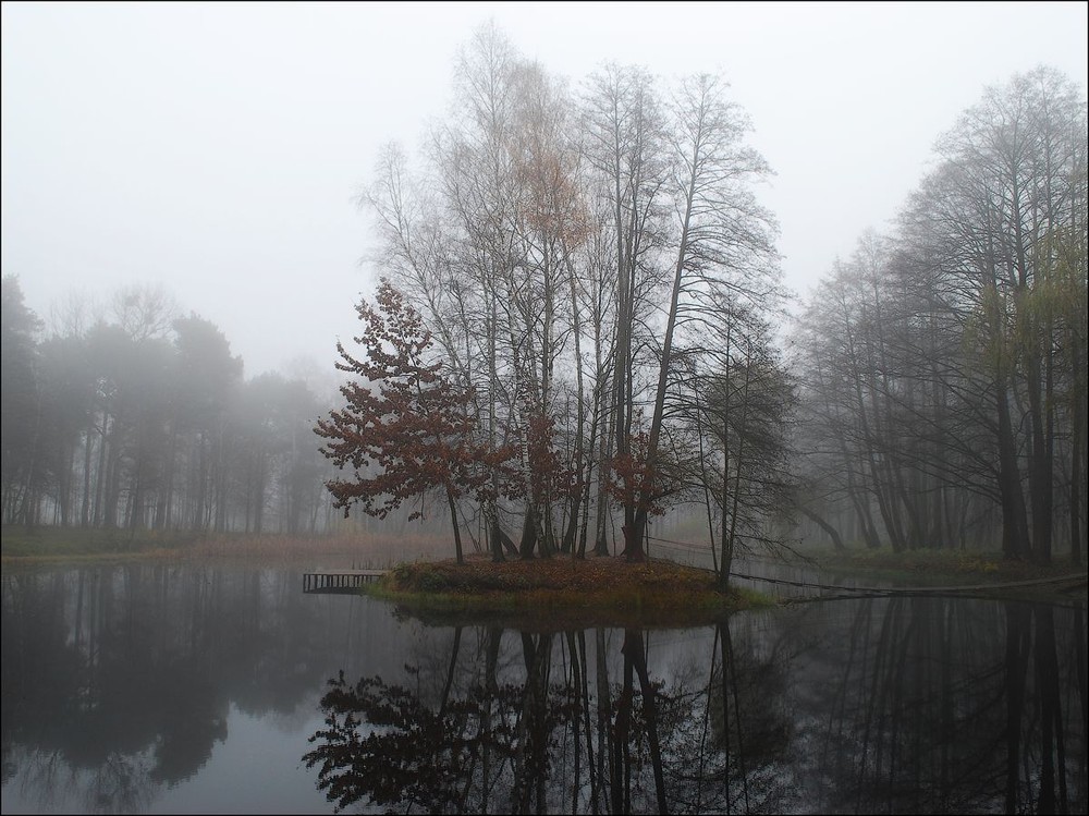 Фотографія островок в тиши туманной... / Олександр Федоренко / photographers.ua