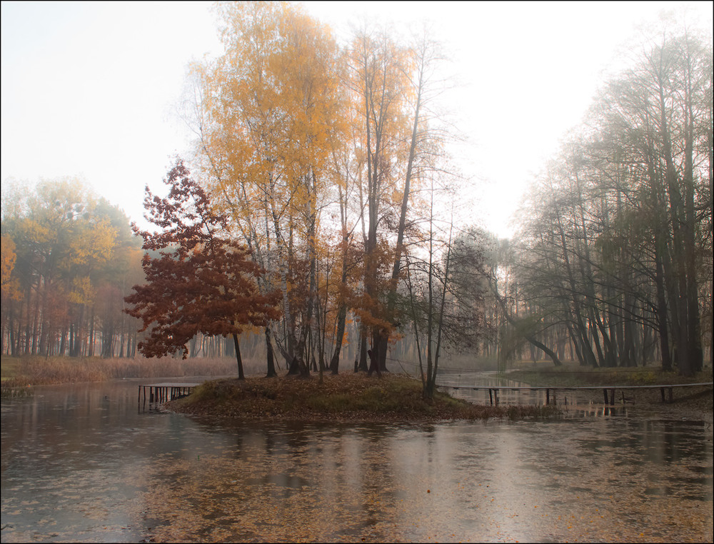 Фотографія Пейзаж / Олександр Федоренко / photographers.ua