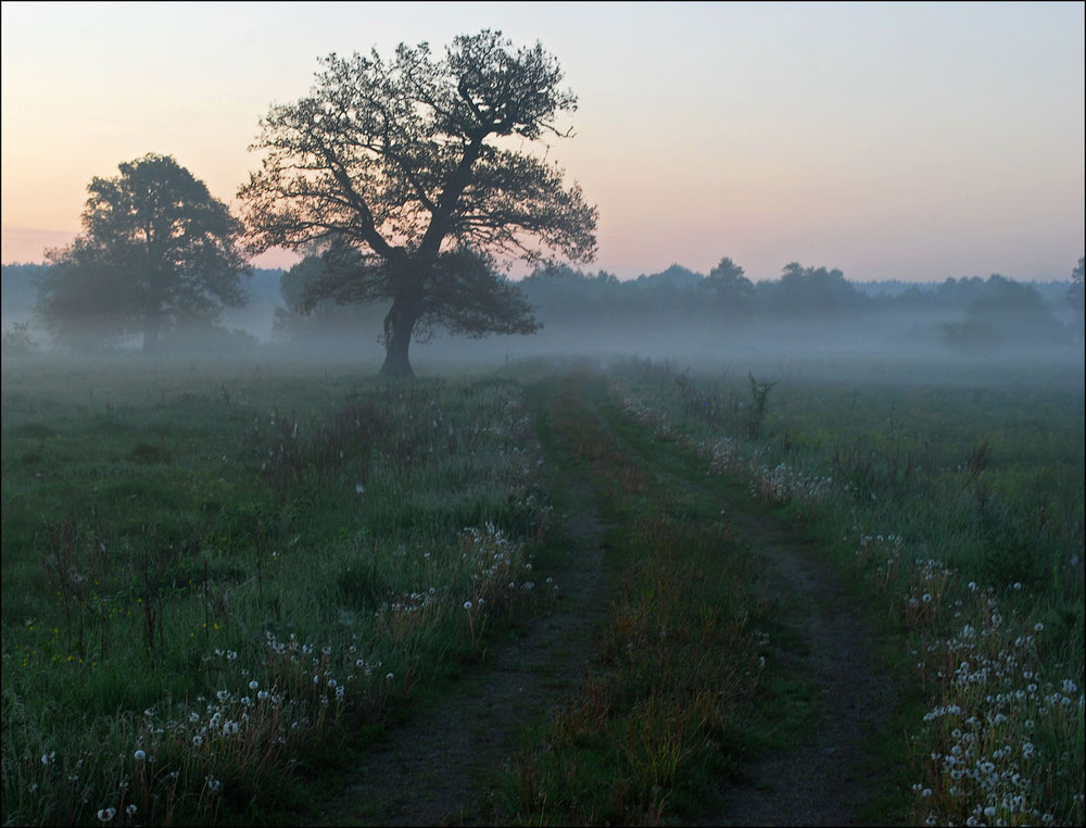 Фотографія Пейзаж / Олександр Федоренко / photographers.ua