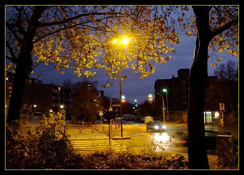 Фотографія Осенний вечер... / Михаил Немировский / photographers.ua