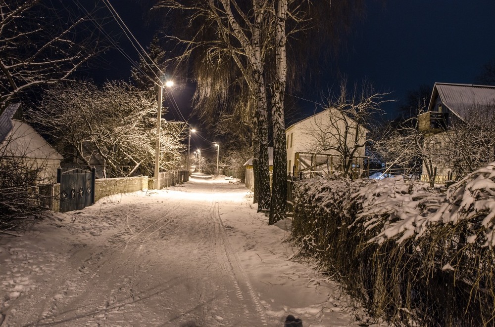 Фотографія Winter landscape / Sergey Pavlenko / photographers.ua