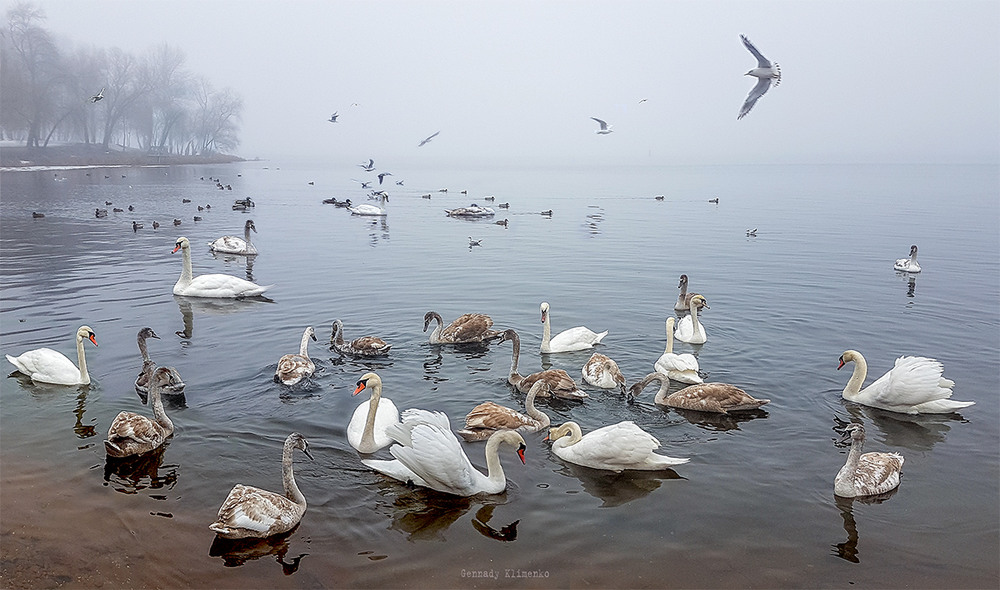 Фотографія Пейзаж / Геннадий Клименко / photographers.ua